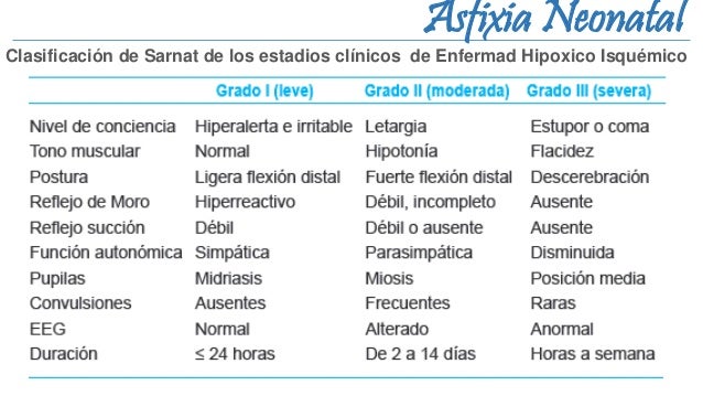 clasificacion de sarnat y sarnat